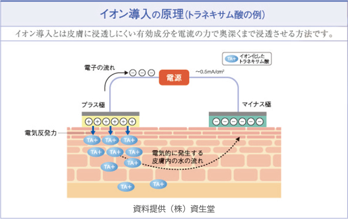 イオン導入の原理